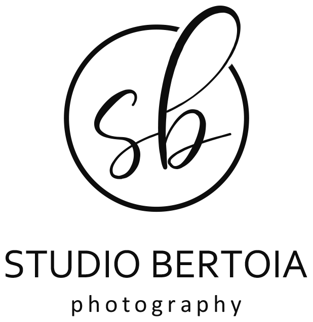 Logo for Studio Bertoia